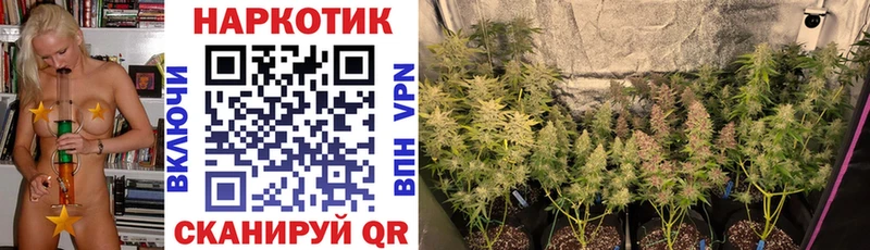 Купить наркоту Новоалександровск Альфа ПВП  Галлюциногенные грибы  Героин  Канабис  мега ссылка  ГАШ  Меф мяу мяу 