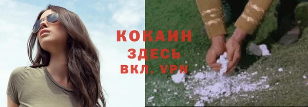 ПСИЛОЦИБИНОВЫЕ ГРИБЫ Михайловск
