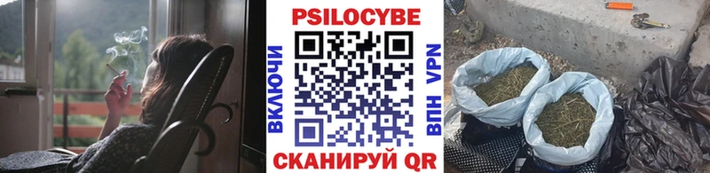 Псилоцибиновые грибы мицелий  Новоалександровск 